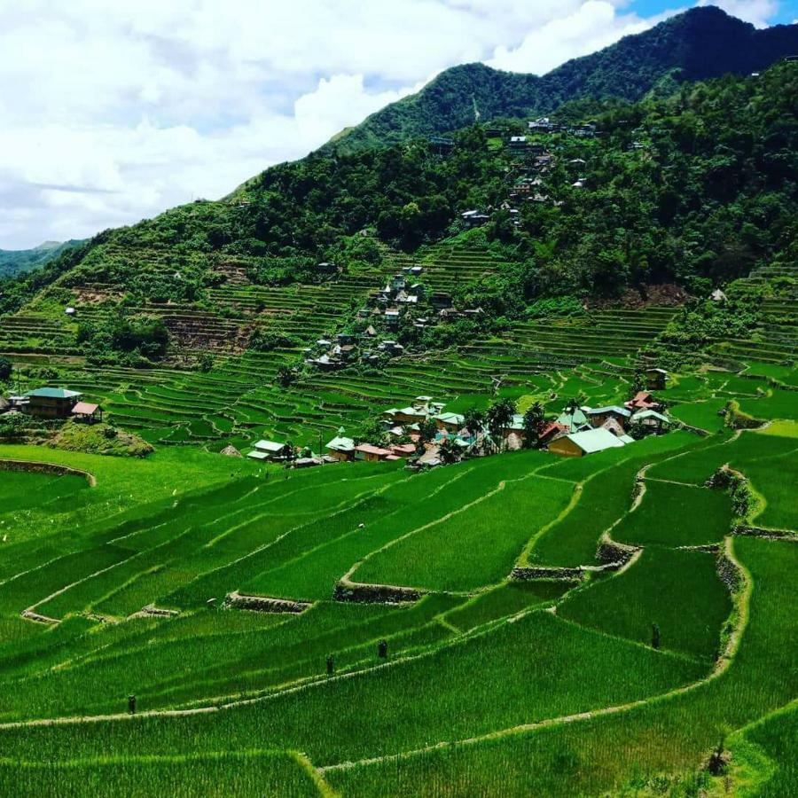 Batad Rita'S Mount View Inn And Restaurant Banaue Εξωτερικό φωτογραφία